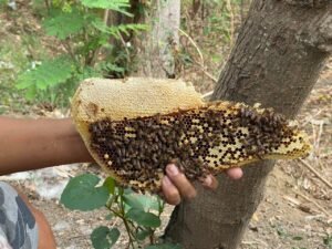 Peluang Usaha di Desa yang Jarang Diketahui